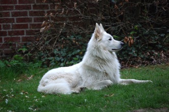 DSC_0197a1.jpg