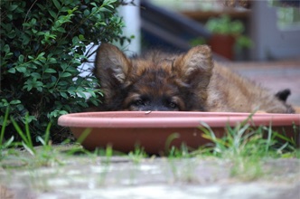 DSC_0317 Kopie.jpg